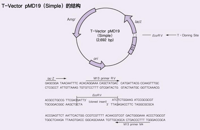 澳门十大正规网投平台|同程旅游与浦口区进行深度合作